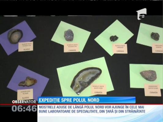 Cei patru români care au ajuns la Polul Nord s-au întors acasă