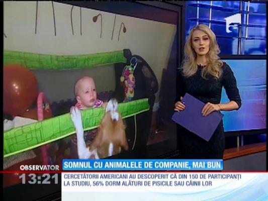 Cercetătorii americani: Cei care permit animalelor de companie să doarmă alături de ei au parte de un somn mai bun