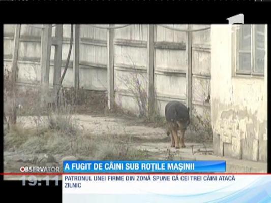 Update! Un copil din Sibiu a fost lovit de un taxi