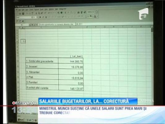 Ministrul Muncii susţine că unele salarii sunt prea mari şi trebuie corectate