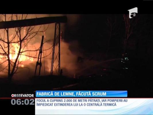 O fabrică de prelucrare a lemnului din Neamţ s-a făcut scrum