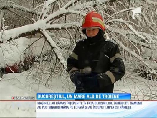 Care sunt DRUMURILE BLOCATE și TRENURILE ANULATE. Listă actualizată pe județe