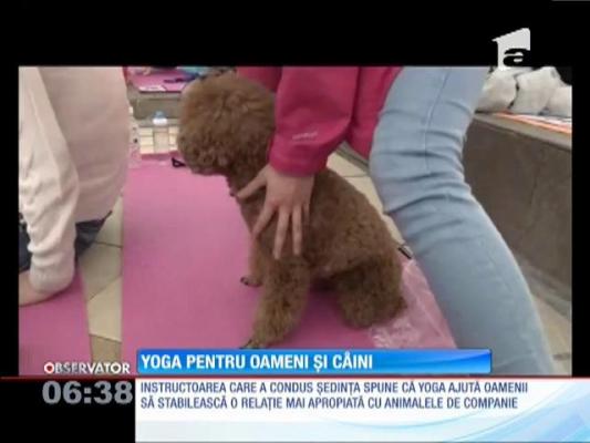 Yoga pentru oameni și câini, de Cartea Recordurilor