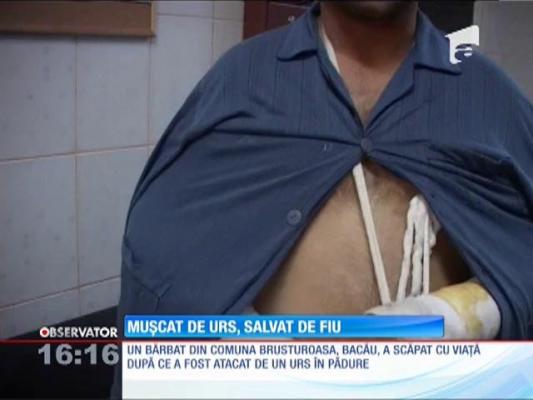 Un bărbat din Bacău, salvat de propriul fiu din ghearele unui urs