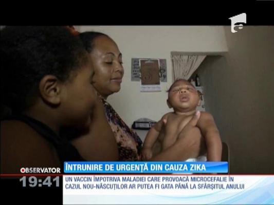 Întrunire de urgență din cauza virusului Zika