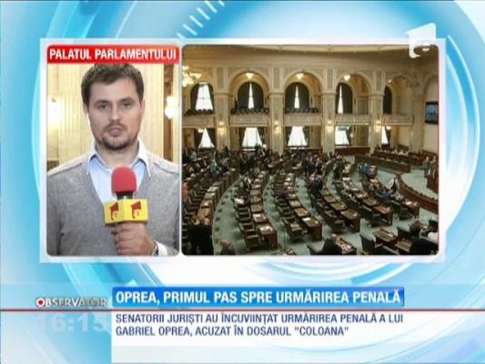 Gabriel Oprea poate fi urmărit penal