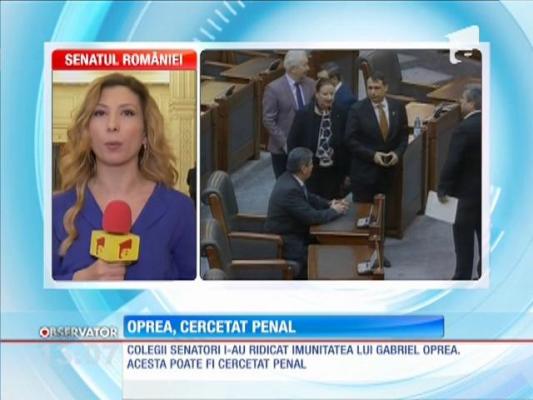 Colegii senatori i-au ridicat imunitatea lui Gabriel Oprea