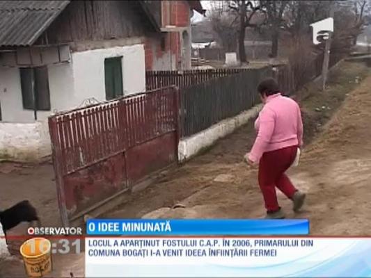 Un primar din Argeș, fost director de penitenciar, a revoluționat sistemul de ajutor social