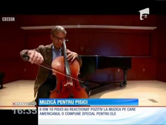 Un american a încercat să ghicească preferinţele felinelor în materie de muzică