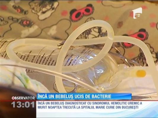 Bacteria E-Coli a mai ucis un bebeluş