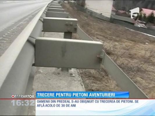 Judeţul Braşov, lider la capitolul treceri de pietoni fără logică