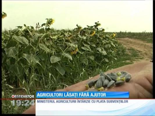 Fermierii nu își fertilizează terenurile pentru că nu au bani