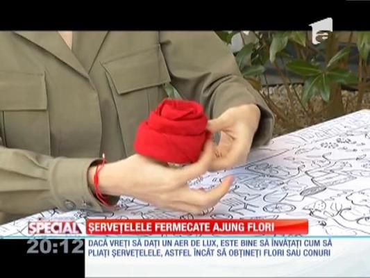 Special! Șervețele pentru o masă de lux