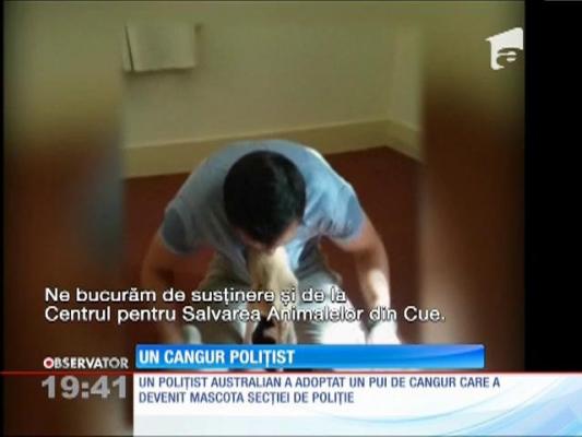 Un pui de cangur s-a alăturat forţelor de poliţie din Australia