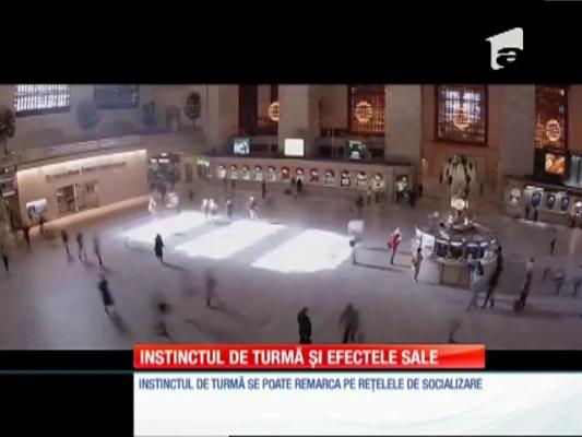 Special! Instinctul de turmă și efectele sale