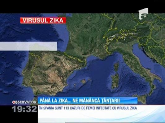 Zika nu sperie autorităţile! Stropiri împotriva ţânţarilor se vor face abia la vară, în Capitală