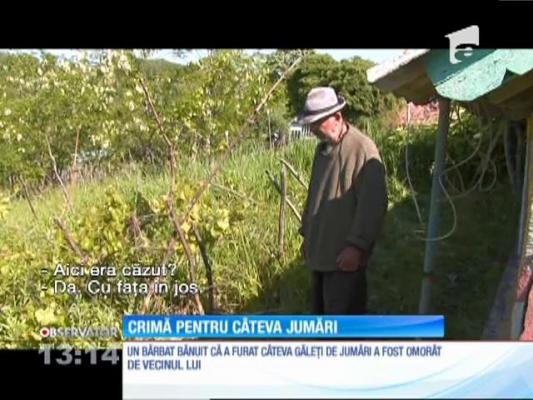 Un vasluian a fost ucis pentru câteva găleţi cu jumări