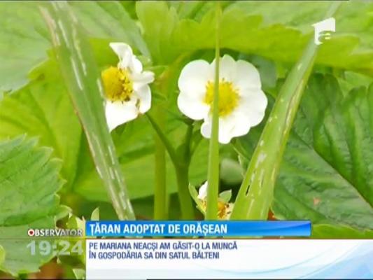 Programul ”Adoptă un ţăran”, un succes. Zeci de producători s-au alăturat campaniei