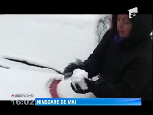 Ninsoare de mai. Şi în următoarele zile, temperaturile rămân mai scăzute decât în mod normal