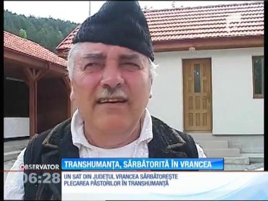 Un întreg sat din Vrancea a sărbătorit târguiala ciobanilor cu proprietarii de oi