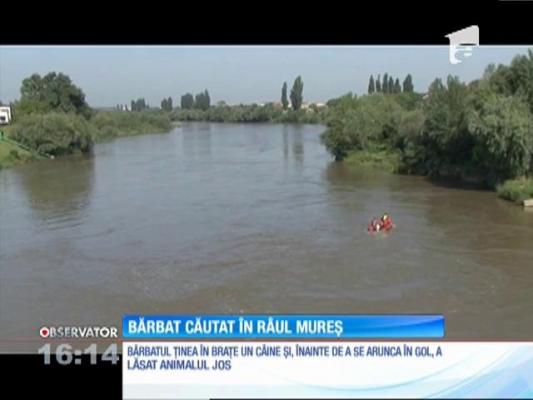 Un arădean s-a aruncat de pe un pod în apele Mureşului