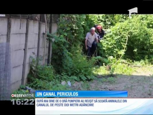 Canal periculos descoperit înainte de tragedie