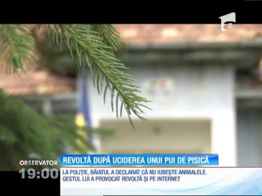 IMAGINI ŞOCANTE! Un copil de 16 ani din Bacău a ucis în bătaie un pui de pisică