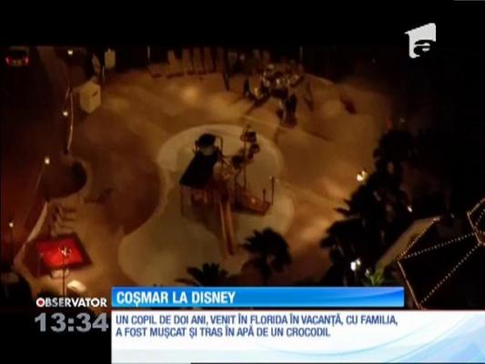 Autorităţile americane sunt în alertă: Copil de doi ani dat dispărut, după ce un aligator l-a tras în apă