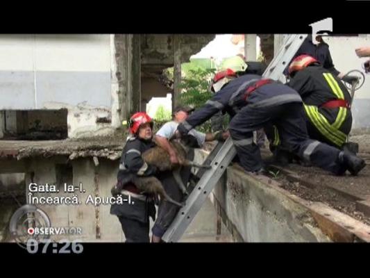 Misiune de salvare pentru o căţeluşă