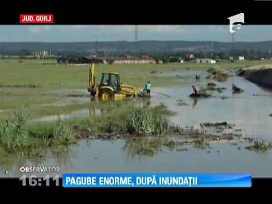 Imagini dramatice în Gorj! Câteva maşini au fost înghiţite de-a dreptul de viituri