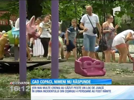Cad crengile copacilor din parcul Cișmigiu