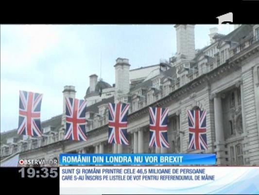 Românii din Londra nu vor să iasă din Uniunea Europeană