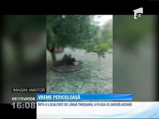Prăpăd în Timiş. Gheaţa cât oul de porumbel a distrus recolta