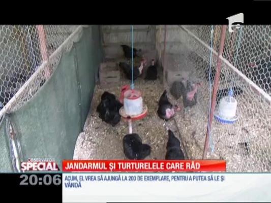 Special! Jandarmul și ferma animalelor