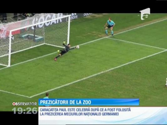 Animalele de la zoo Târgu Mureş fac preziceri pentru Euro 2016