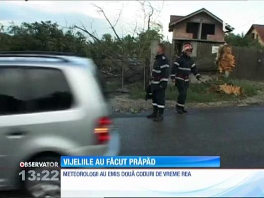 Vijeliile au făcut prăpăd în centrul judeţului Hunedoara