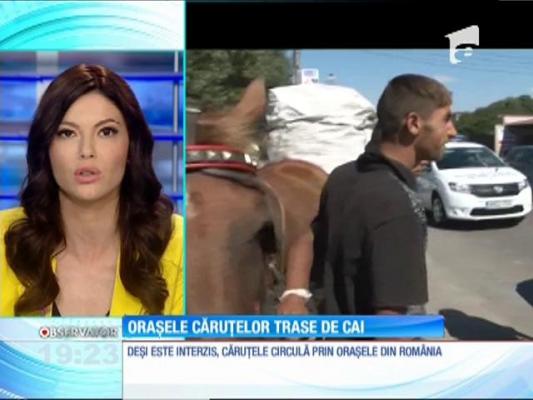 Deşi este interzis, căruţele circulă prin oraşele din România