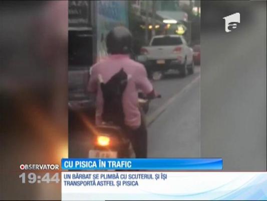 Cu pisica în trafic pe scuter!