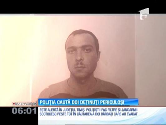 UPDATE Stare de alertă în judeţul Timiş! Poliția caută doi deținuți periculoși