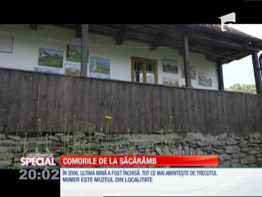 SPECIAL! Comorile de la Săcărâmb