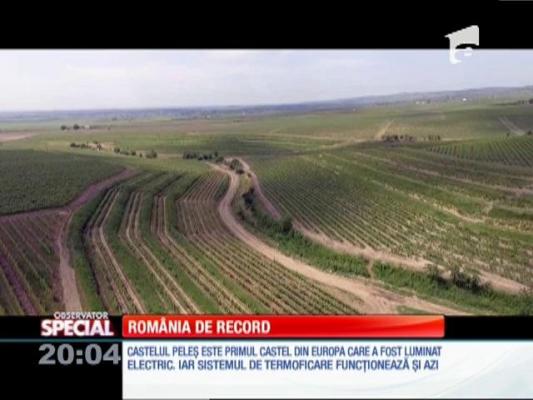 Special! Recordurile României