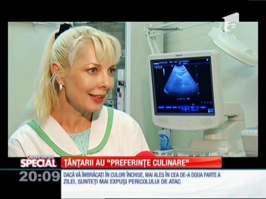 Special! Ţânţarii preferă persoanele cu grupa de sânge zero