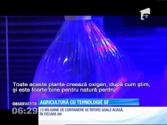 Legumele viitorului ar putea creşte pe oceane, în containerele marilor vapoare şi fără lumina soarelui