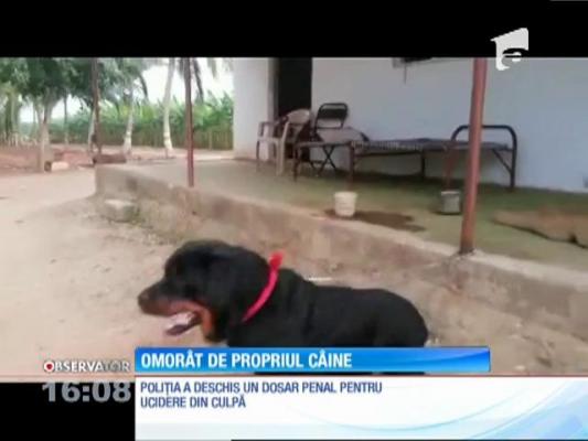 Un bărbat din Craiova a fost ucis de câinele său, un Rottweiler
