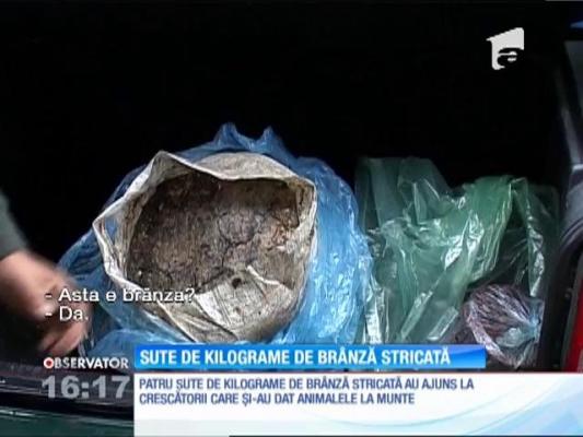 Sute de kilograme de brânză stricată. Medicii s-au îngrozit!