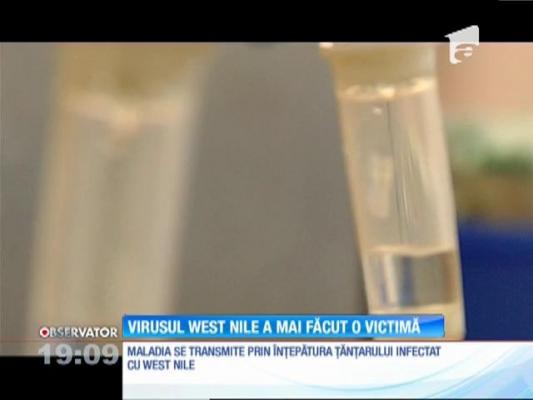 Risc de transfuzii cu sânge contaminat cu virusul West Nile. Spitalele au operat doar urgențele