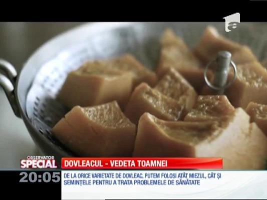 Special! Dovleacul, vedeta culinară a toamnei