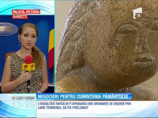 Guvernul negociază pentru sculptura "Cuminţenia Pământului"