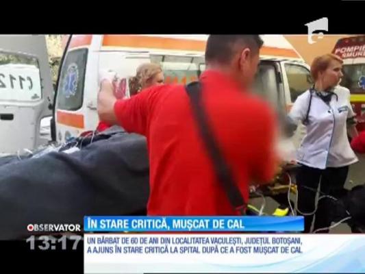 Un bărbat de 60 de ani din judeţul Botoşani a rămas fără o mână după ce a fost muşcat de un cal