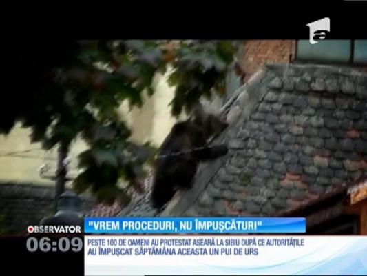 Protest împotriva autorităţilor care au permis executarea ursulețului în Sibiu